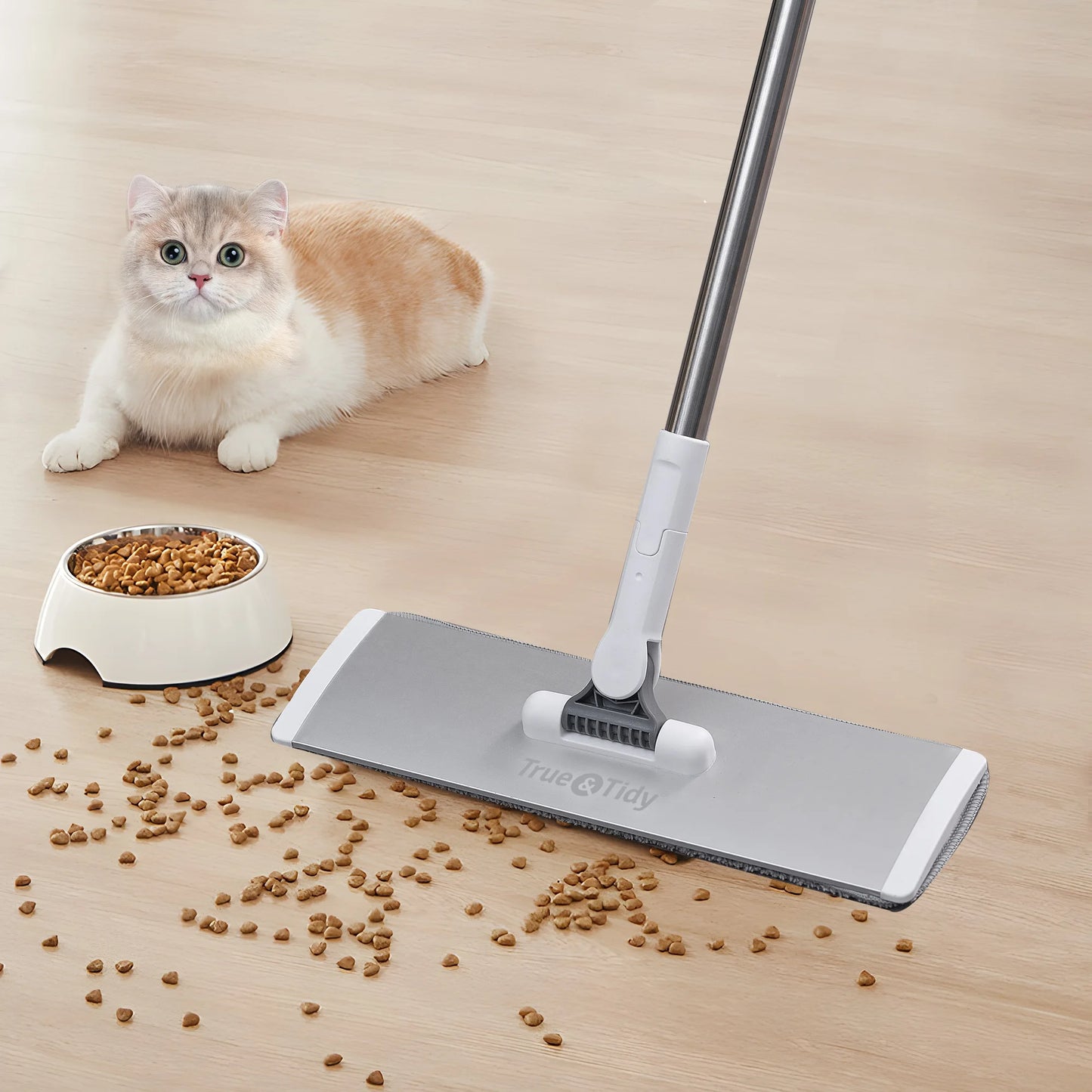 The All-in-One Wet & Dry Mop