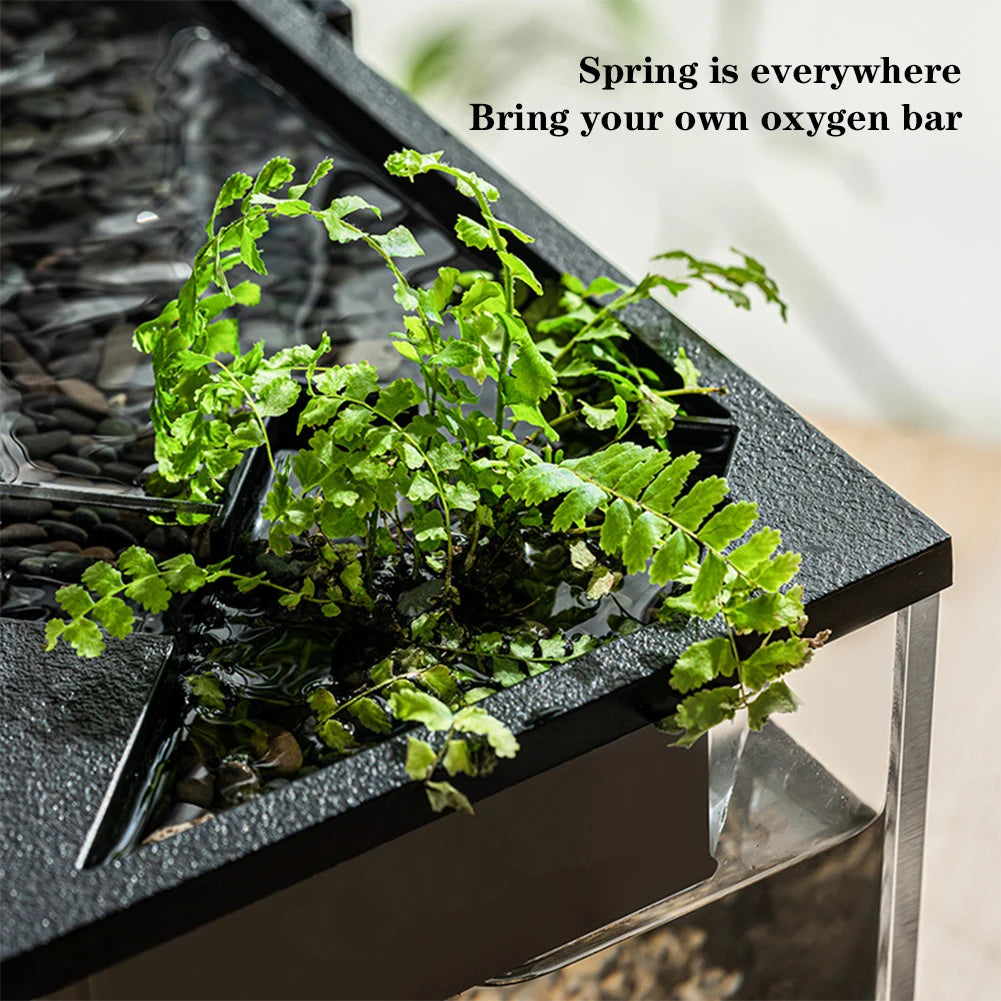 Aquarium Tank With Build-in Light, Water Pump