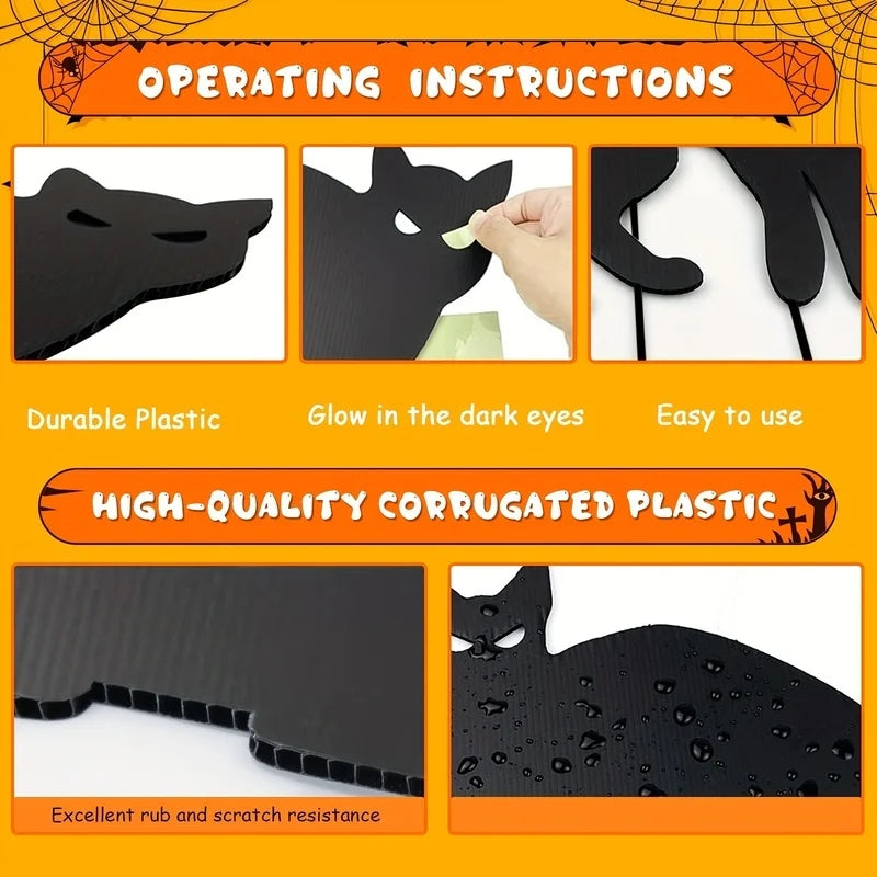 Glowing Eyes and Scary Silhouettes Black Cat