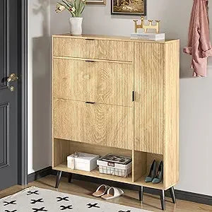 Shoe Storage/Organizer Cabinet 2 Flip Drawers