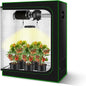Hydroponic Grow Tent With Observation Window