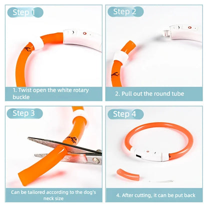 New Safe LED Dog Collar, USB Rechargeable