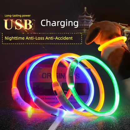 New Safe LED Dog Collar, USB Rechargeable