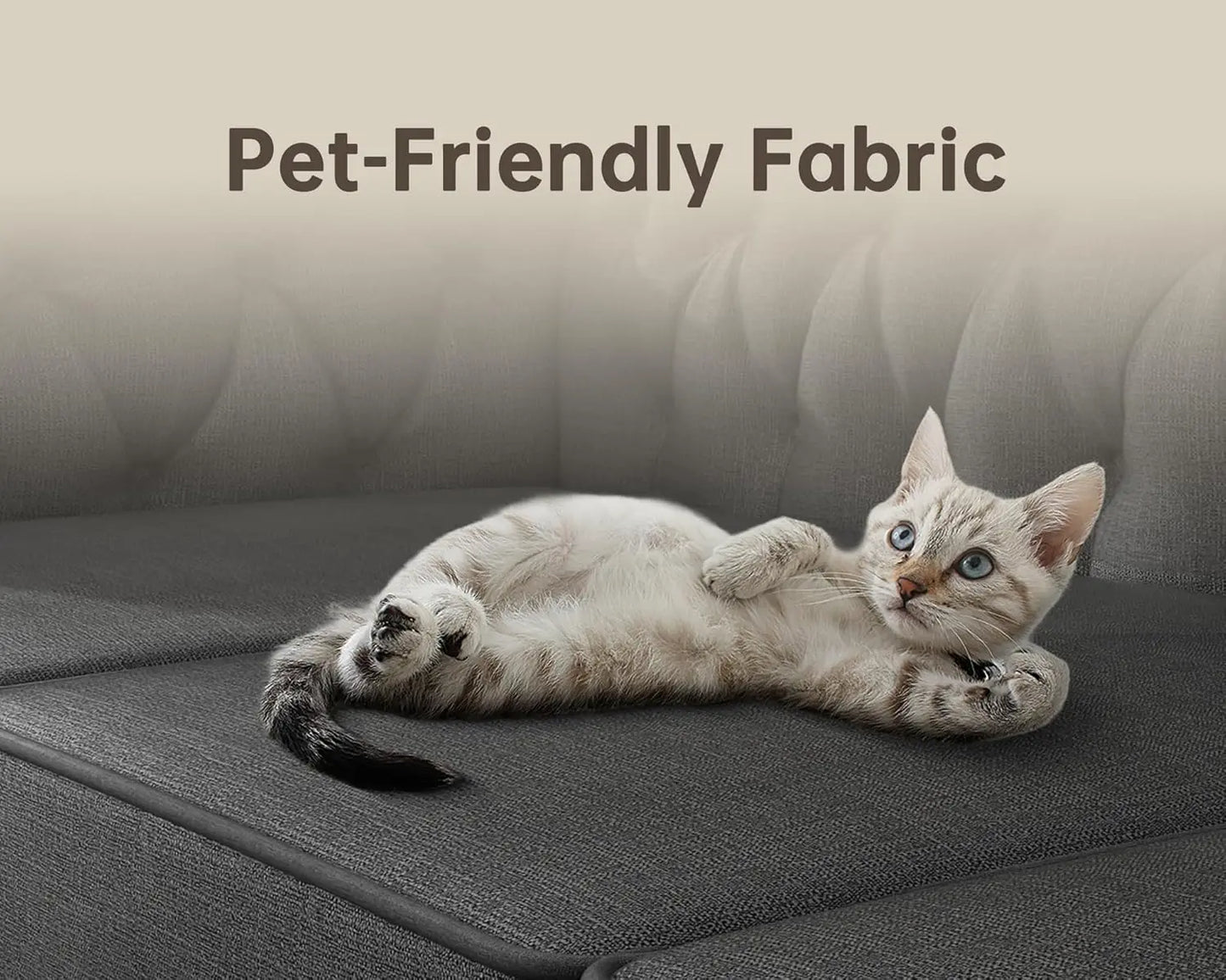 Pet-friendly 60" tufted loveseat sofa kid tested