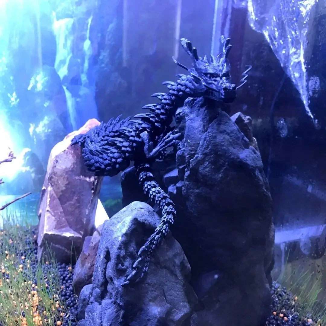 Laser Holographic 3D Printed Dragon Aquarium Decoration