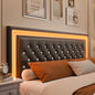 Queen LED Platform Bed Frame with Storage