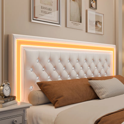 Queen LED Platform Bed Frame with Storage