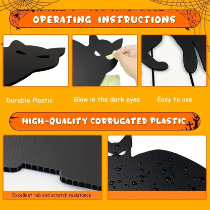 Glowing Eyes and Scary Silhouettes Black Cat