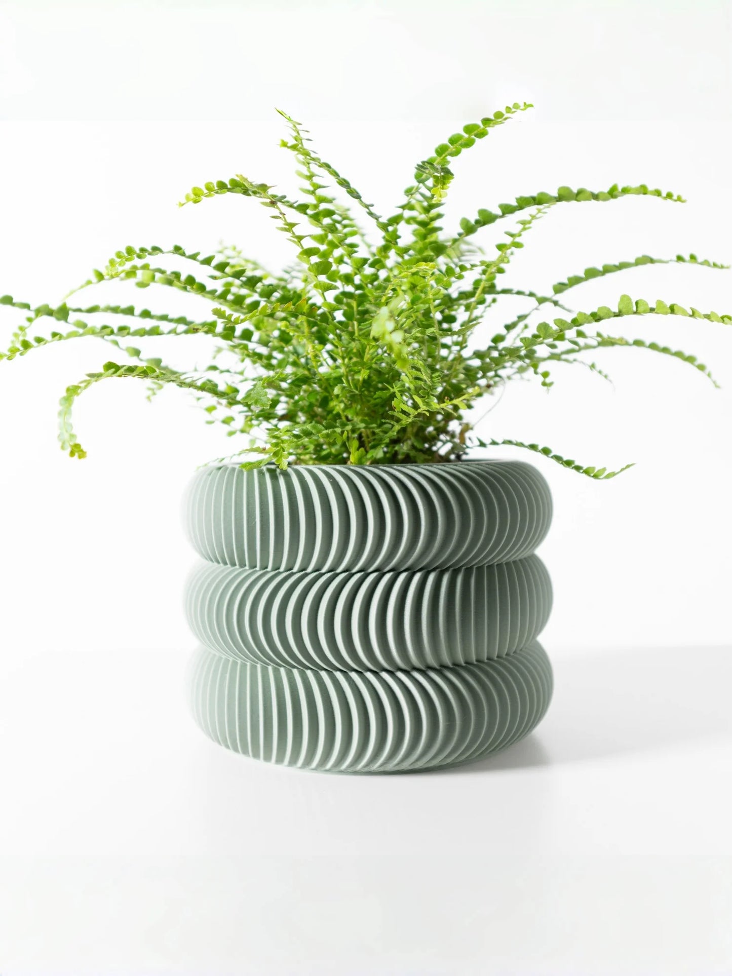 Modern Minimalist 3D Printed Plant Pot Biodegradable