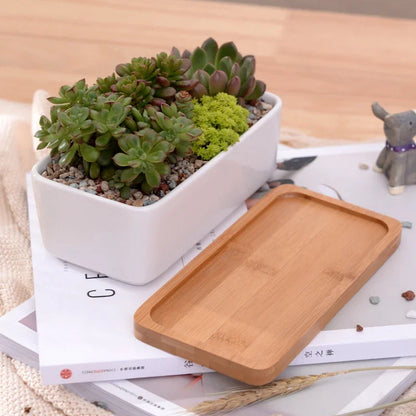Ceramic White Succulent Planter with Bamboo Tray