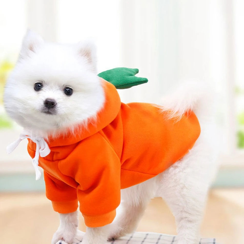 Cute Fruit Dog Clothes for Small Dogs Hoodies