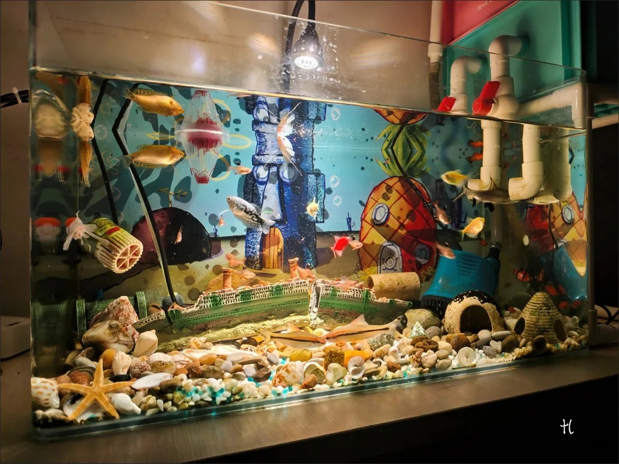 Mixed Natural Ocean Sea Shell Set