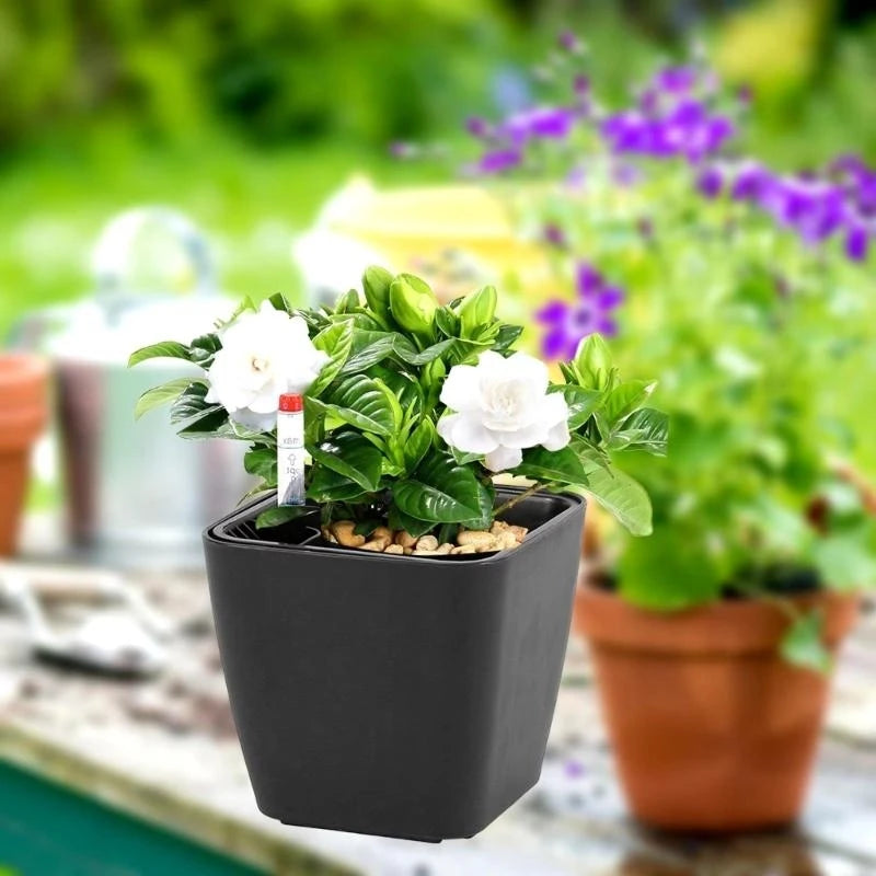 Automatic Planter Plant Pot Self Watering Pot