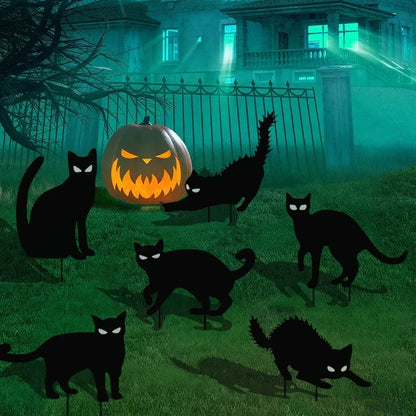 Glowing Eyes and Scary Silhouettes Black Cat