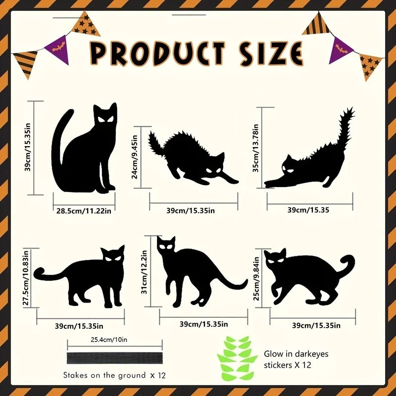 Glowing Eyes and Scary Silhouettes Black Cat