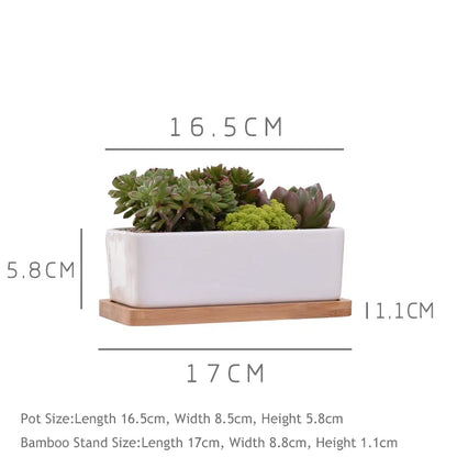 Ceramic White Succulent Planter with Bamboo Tray