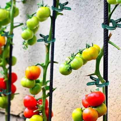 20pcs Garden Set Tomato Plant Fixing Clips