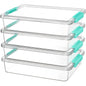 6 Qt Clear Plastic Storage Bins & Lids