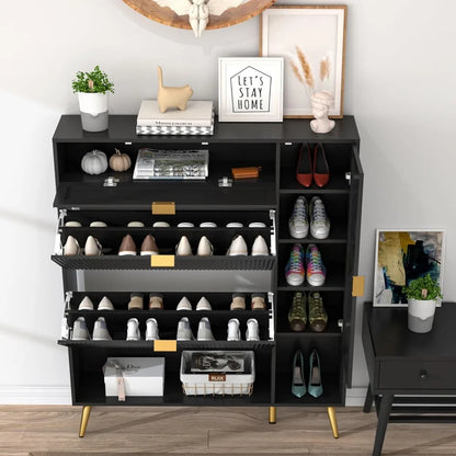 Shoe Storage/Organizer Cabinet 2 Flip Drawers