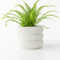 Modern Minimalist 3D Printed Plant Pot Biodegradable