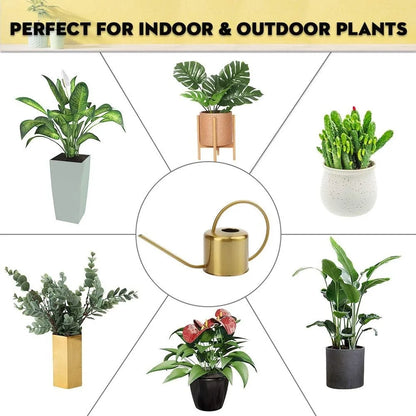 Long Spout Watering Can Indoor Outdoor Ergonomic