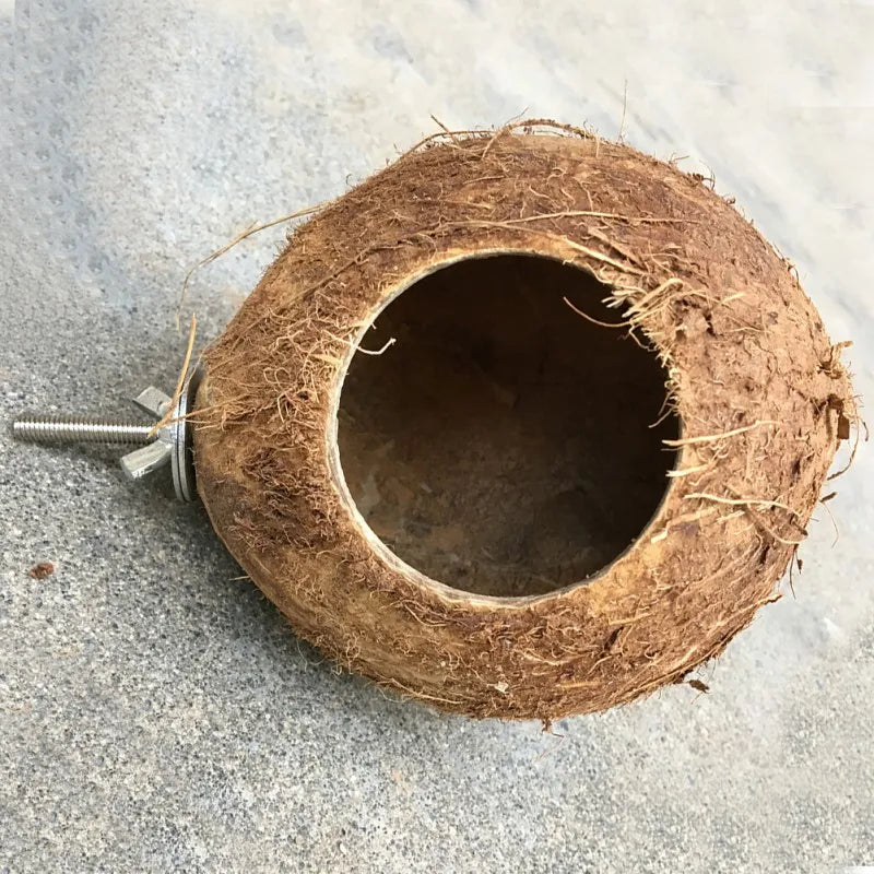 Natural Coconut Shell Hideaway Bird Nest Cage