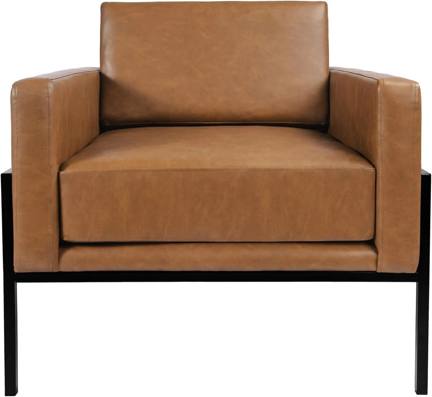 Modern Metal Frame Accent Chair Home Décor