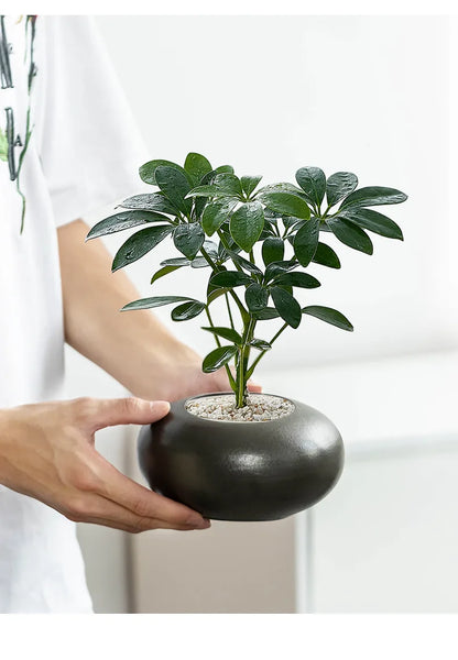 Creative Special Flower Pot Ceramic Large/Small