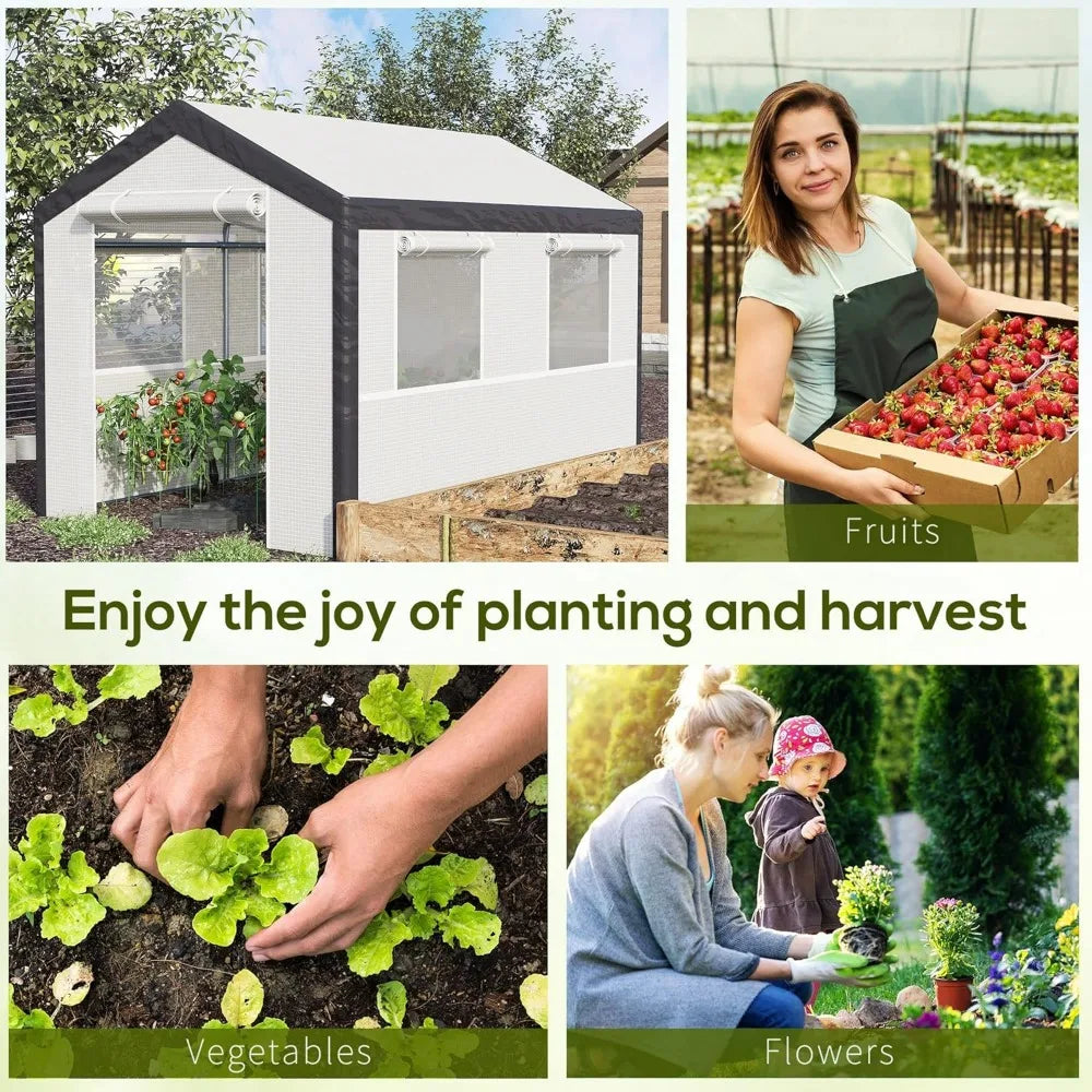 Walk-in tunnel greenhouse with cover, steel frame