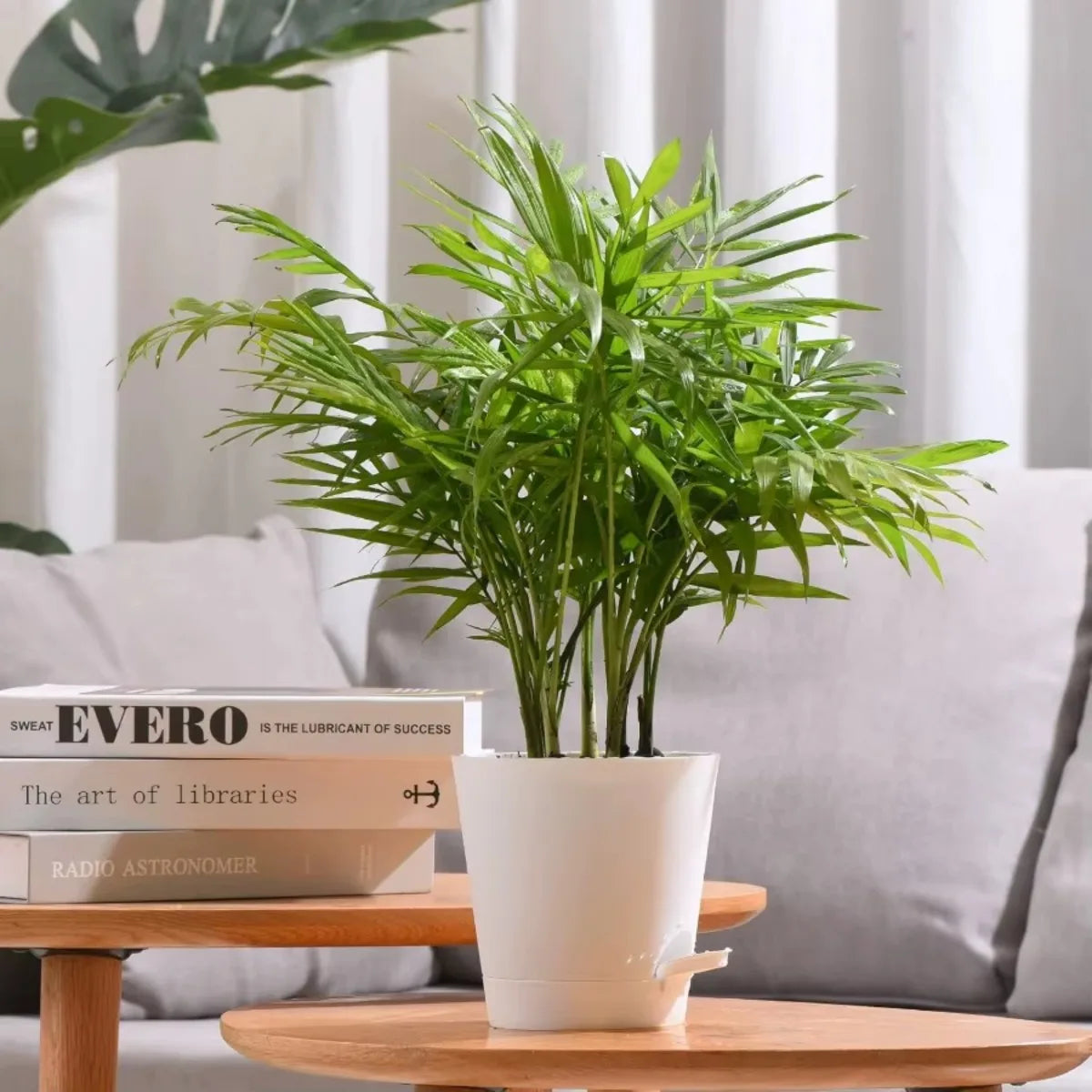 5" Planters High Drainage with Reservoir