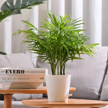 5" Planters High Drainage with Reservoir