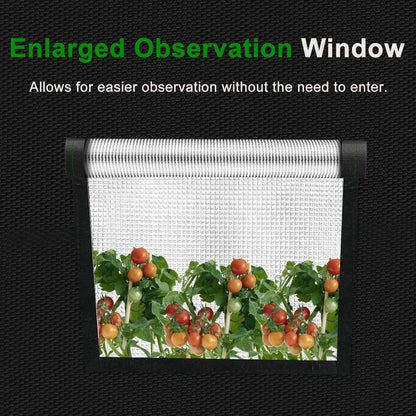 Hydroponic Grow Tent With Observation Window