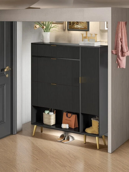 Shoe Storage/Organizer Cabinet 2 Flip Drawers