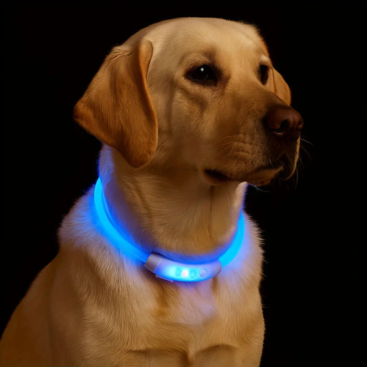 New Safe LED Dog Collar, USB Rechargeable