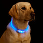 New Safe LED Dog Collar, USB Rechargeable