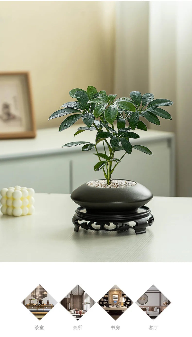 Creative Special Flower Pot Ceramic Large/Small