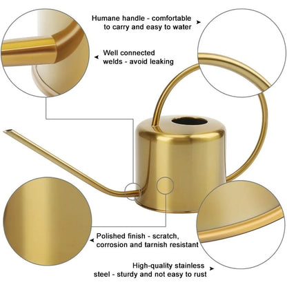 Long Spout Watering Can Indoor Outdoor Ergonomic
