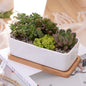 Ceramic White Succulent Planter with Bamboo Tray