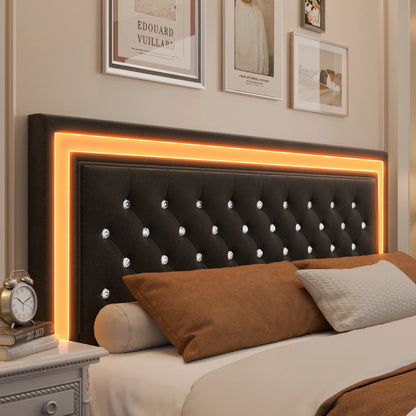 Queen LED Platform Bed Frame with Storage